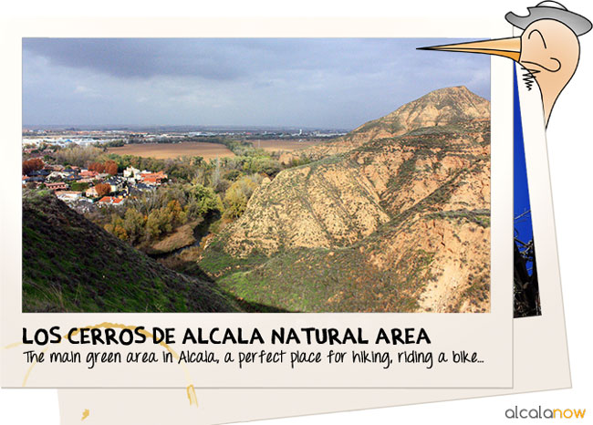 Los Cerros de Alcala Natural Area